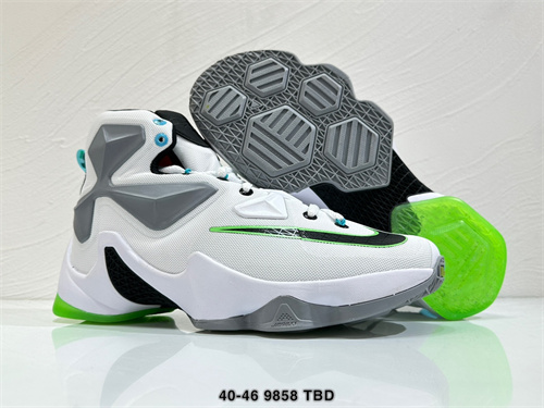 Lebron James 13-M-005