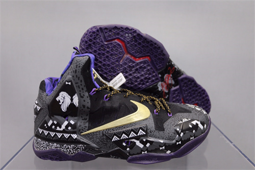 Lebron James 11-M-005