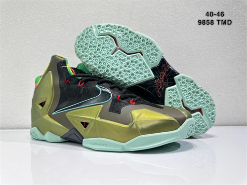 Lebron James 11-M-009