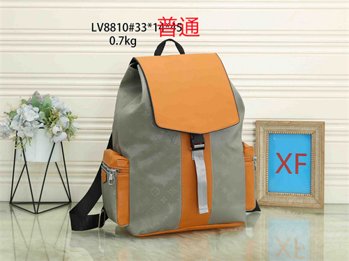 LV bag-0119