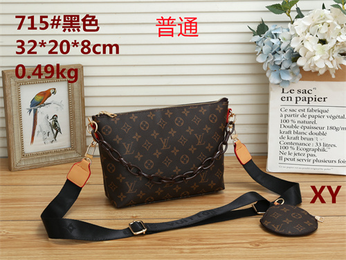 LV bag-0152