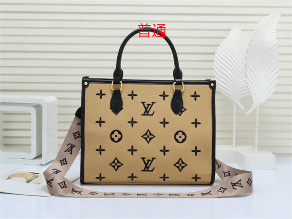 LV bag-0179