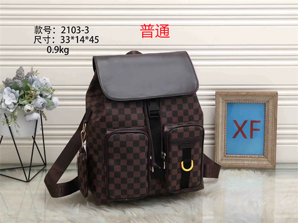 LV bag-0194