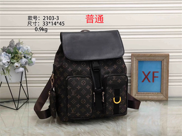LV bag-0195