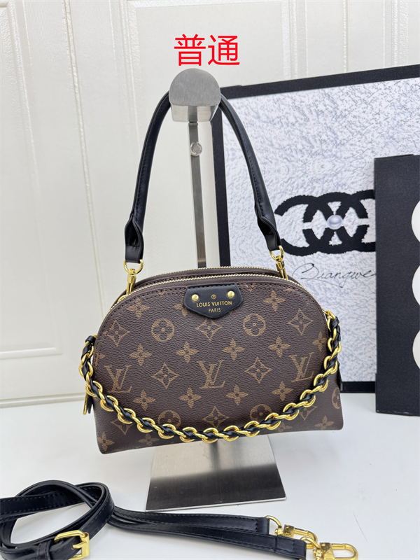 LV bag-0223