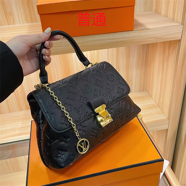 LV bag-0245