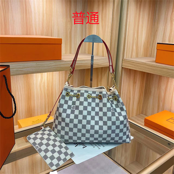 LV bag-0260