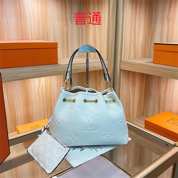 LV bag-0263