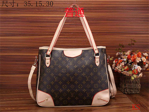 LV bag-0067
