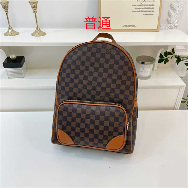 LV bag-0893