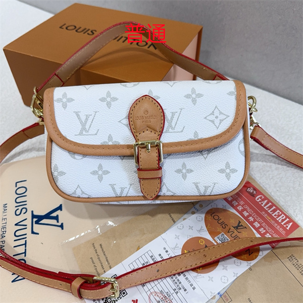 LV small bag-1027