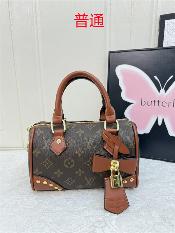 LV small bag-1137