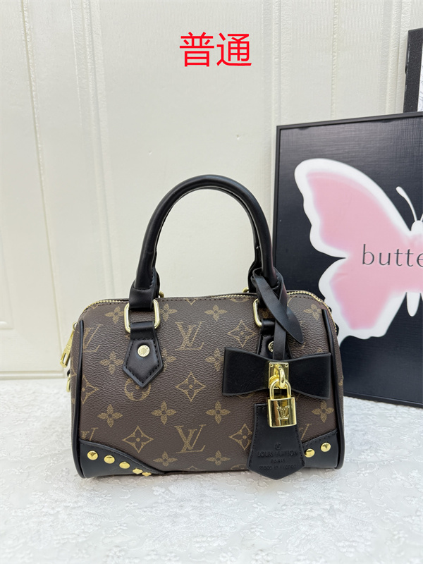 LV small bag-1139