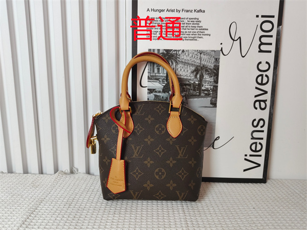 LV small bag-1152