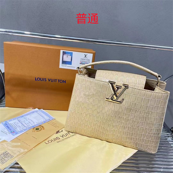 LV small bag-1354