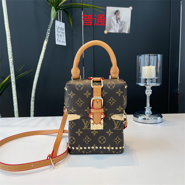 LV small bag-1457