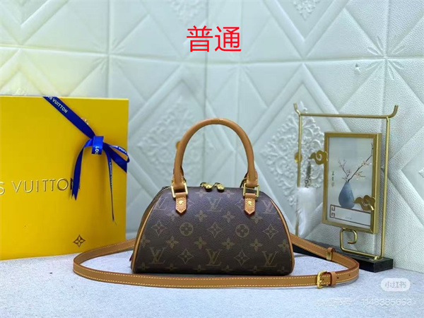 LV small bag-1531