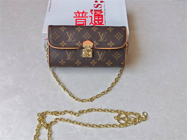 LV small bag-1563