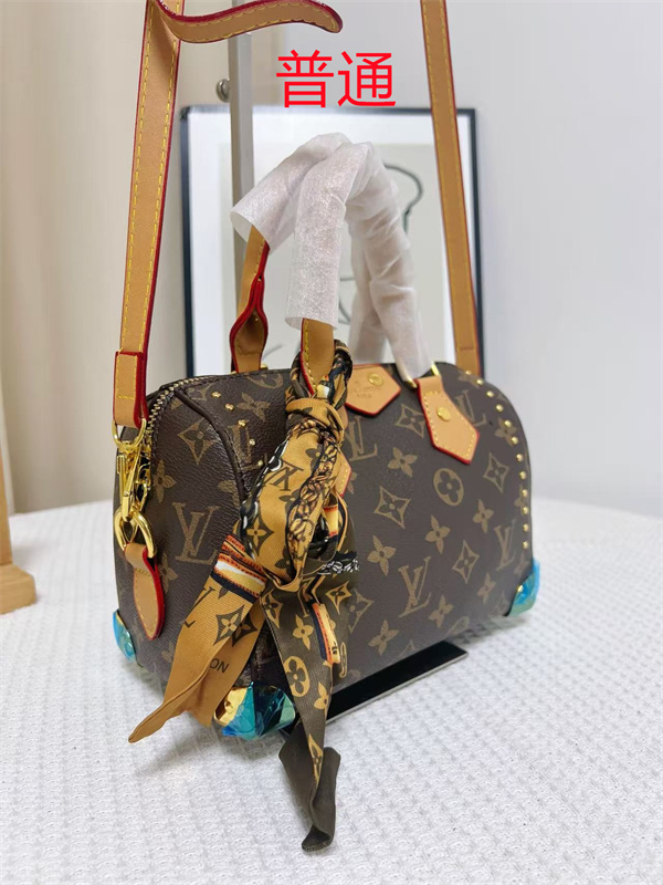 LV small bag-1699