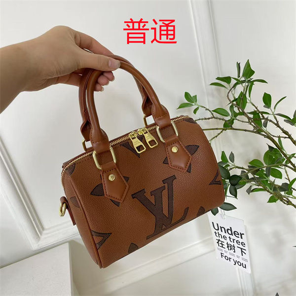 LV small bag-1734