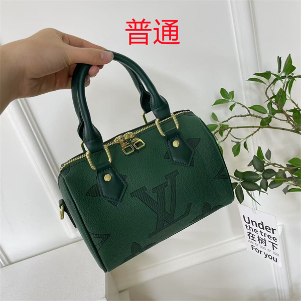 LV small bag-1735