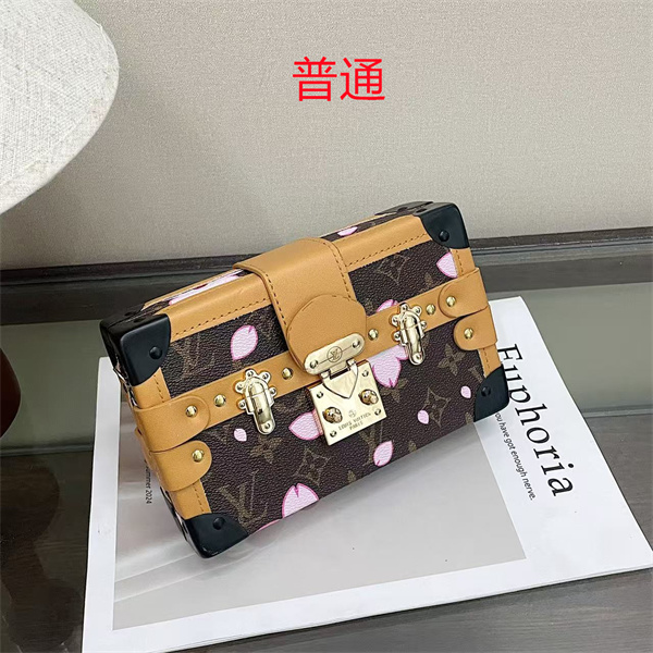 LV small bag-2095
