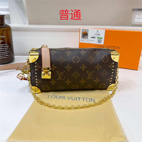 LV small bag-0566