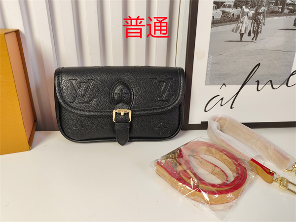 LV small bag-0737