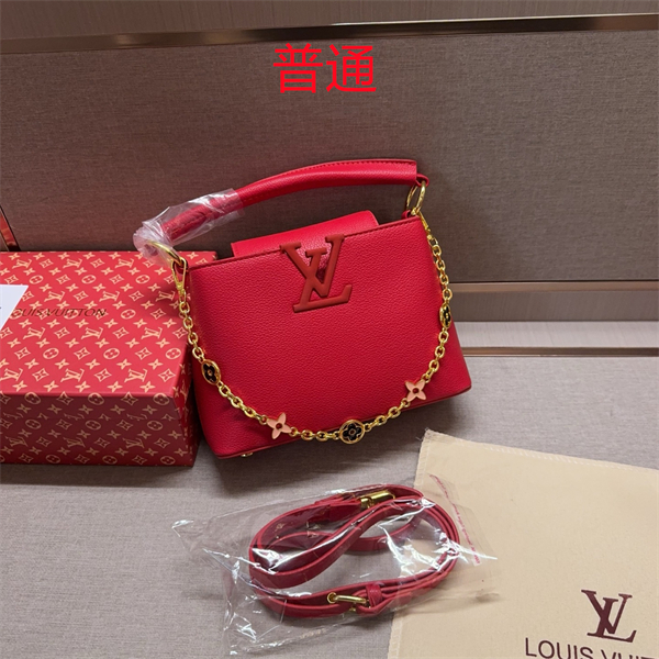 LV small bag-0776