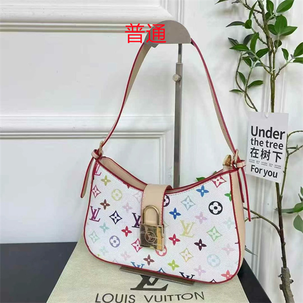 LV small bag-0857