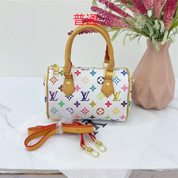 LV small bag-0962