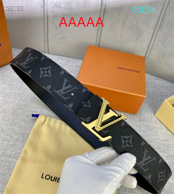 LV(AAAAA)Belt-0175