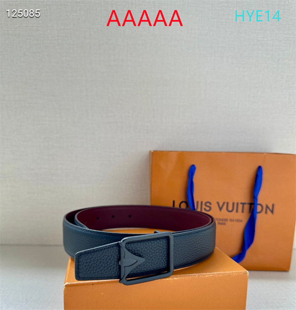 LV(AAAAA)Belt-0045