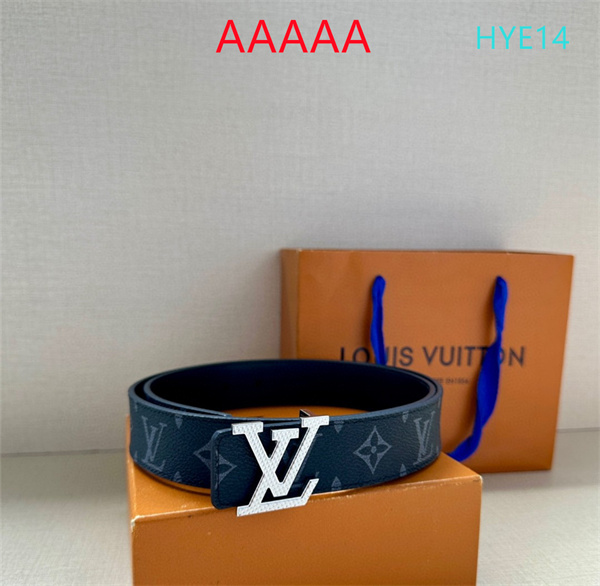 LV(AAAAA)Belt-0069