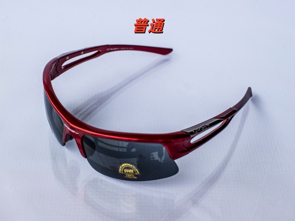 Michael Kors Sunglass-0042