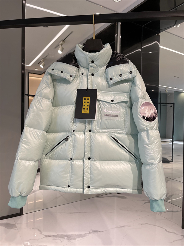 Moncler Down Jacket-M-133