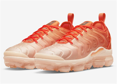 Nike Air VaporMax PLUS-M-076