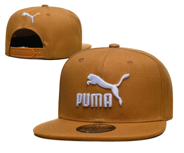 Puma Snapbacks-0003