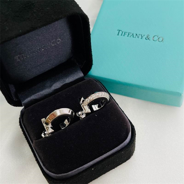 Tiffany Earrings-034