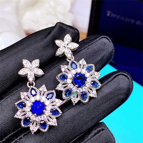 Tiffany Earrings-004