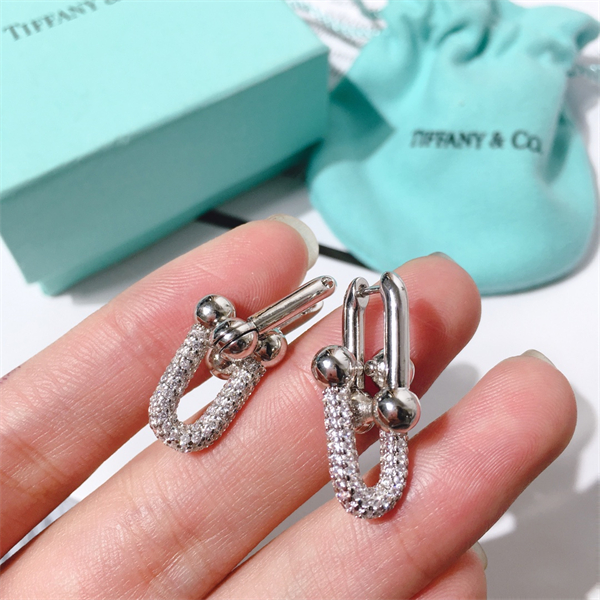 Tiffany Earrings-062