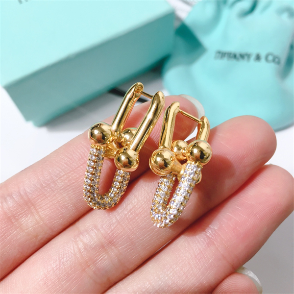 Tiffany Earrings-063
