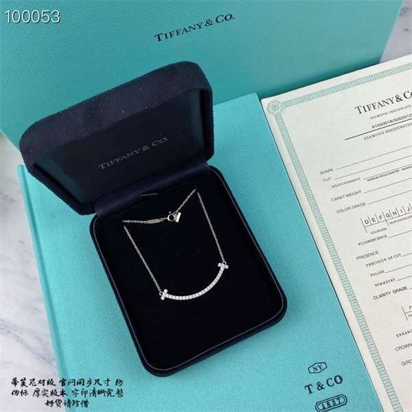 Tiffany Necklace-038