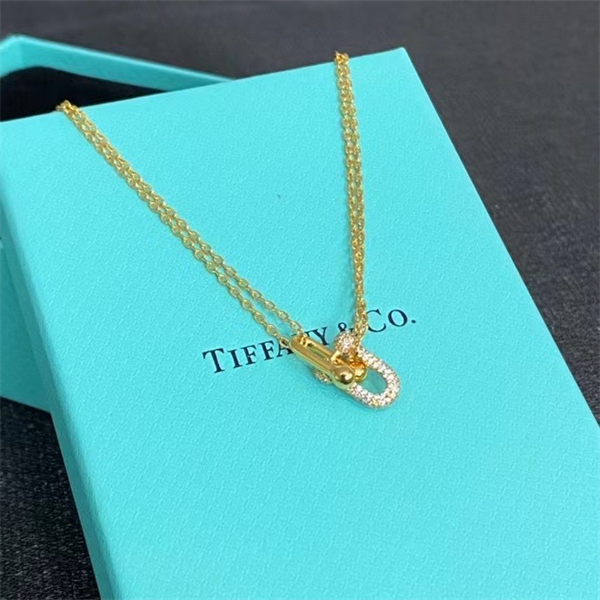 Tiffany Necklace-089