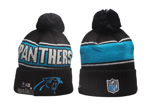 NFL Beanies(2)-0131
