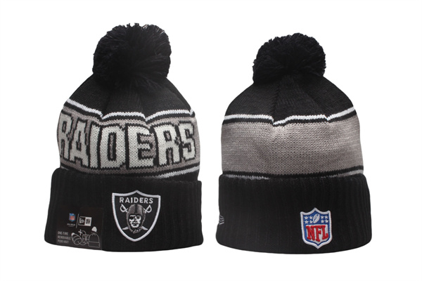 NFL Beanies(2)-0139
