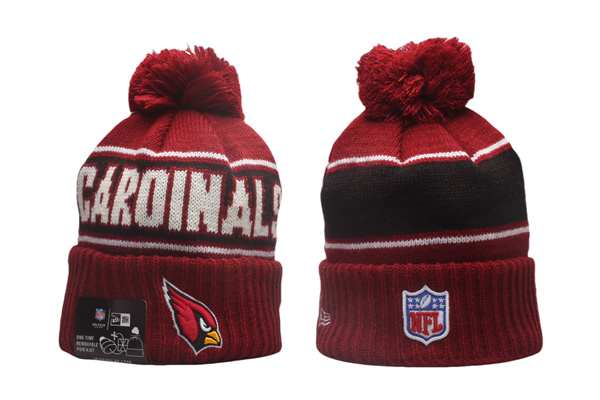 NFL Beanies(2)-0143