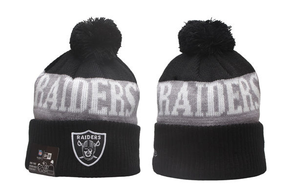NFL Beanies(2)-0179