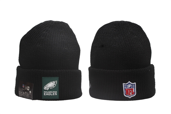 NFL Beanies(2)-0194