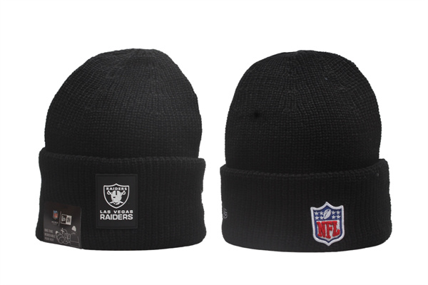 NFL Beanies(2)-0195